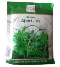 Cowpea / Choli Ajeet-22